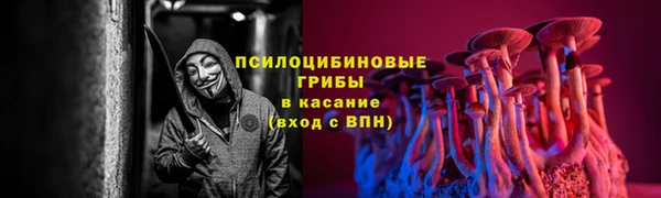 ALPHA-PVP Белокуриха