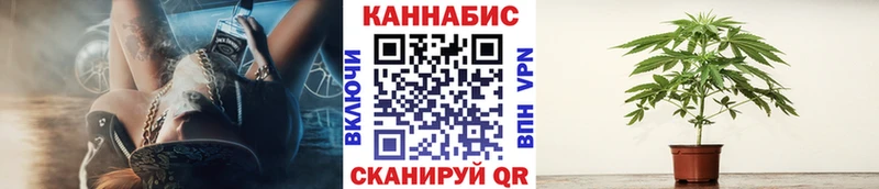 Шишки марихуана марихуана  где можно купить наркотик  Озёрск 
